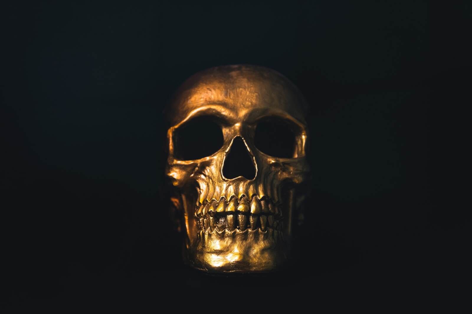 a skull in the darkness
